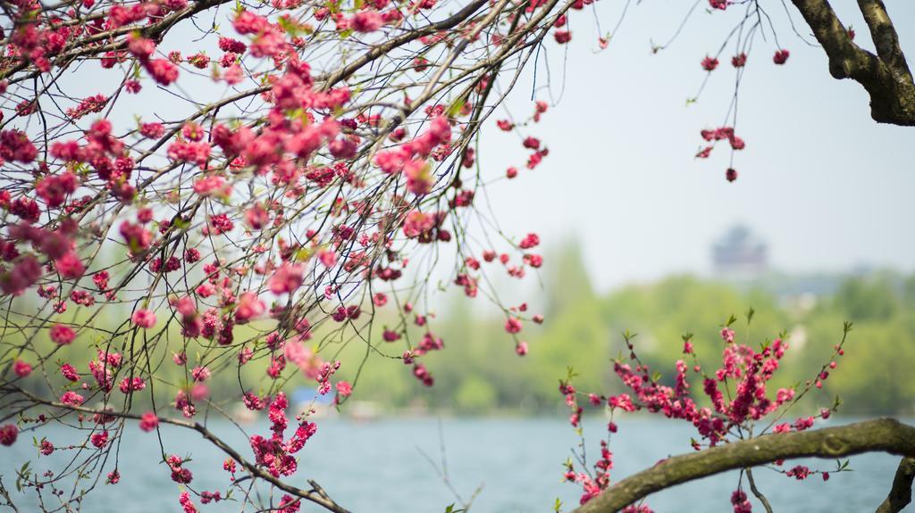 Zhejiang Xizi Hotel Hàng Châu Ngoại thất bức ảnh